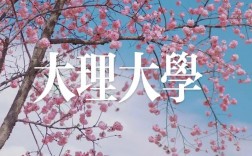 大理大学研究生凯发官网手机版官网yjsc.dali.edu.cn