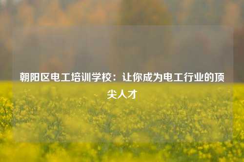 朝阳区电工培训学校：让你成为电工行业的顶尖人才-图1