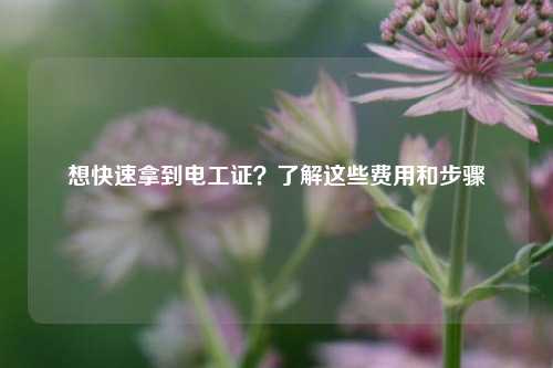 想快速拿到电工证？了解这些费用和步骤-图1