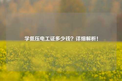 学低压电工证多少钱？详细解析！-图1